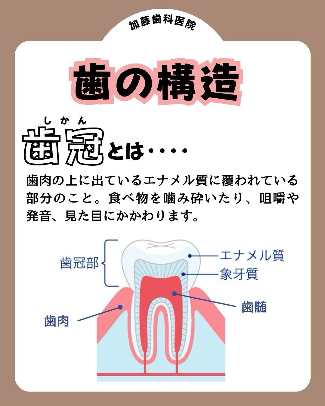 こんにちは♪加藤歯科医院です🦷