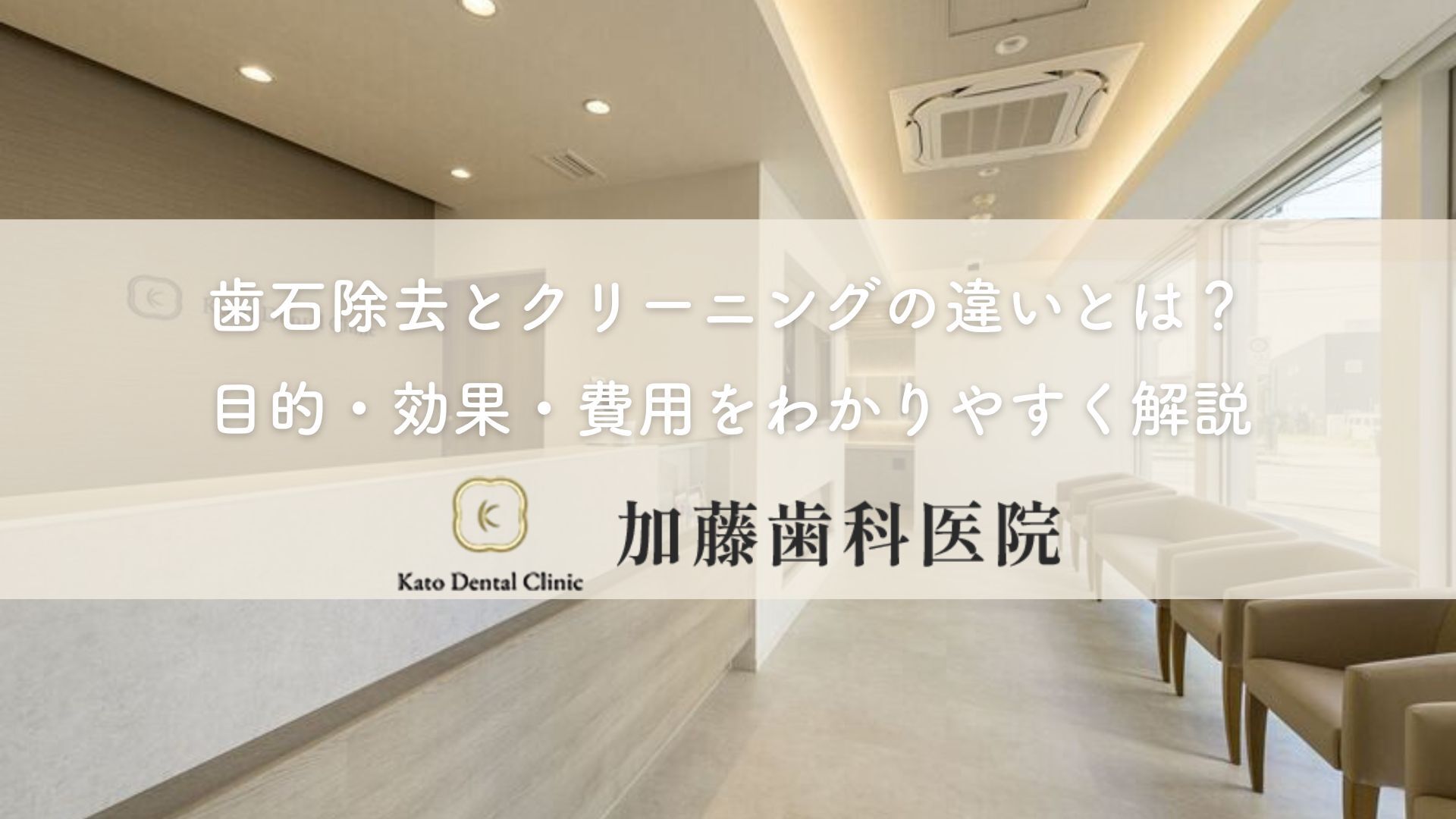 歯石除去とクリーニングの違いとは？目的・効果・費用をわかりやすく解説