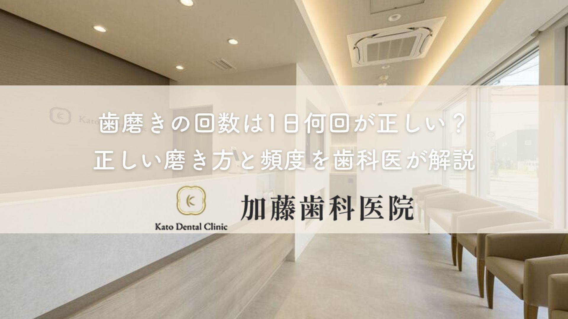 歯磨きの回数は1日何回が正しい？正しい磨き方と頻度を歯科医が解説