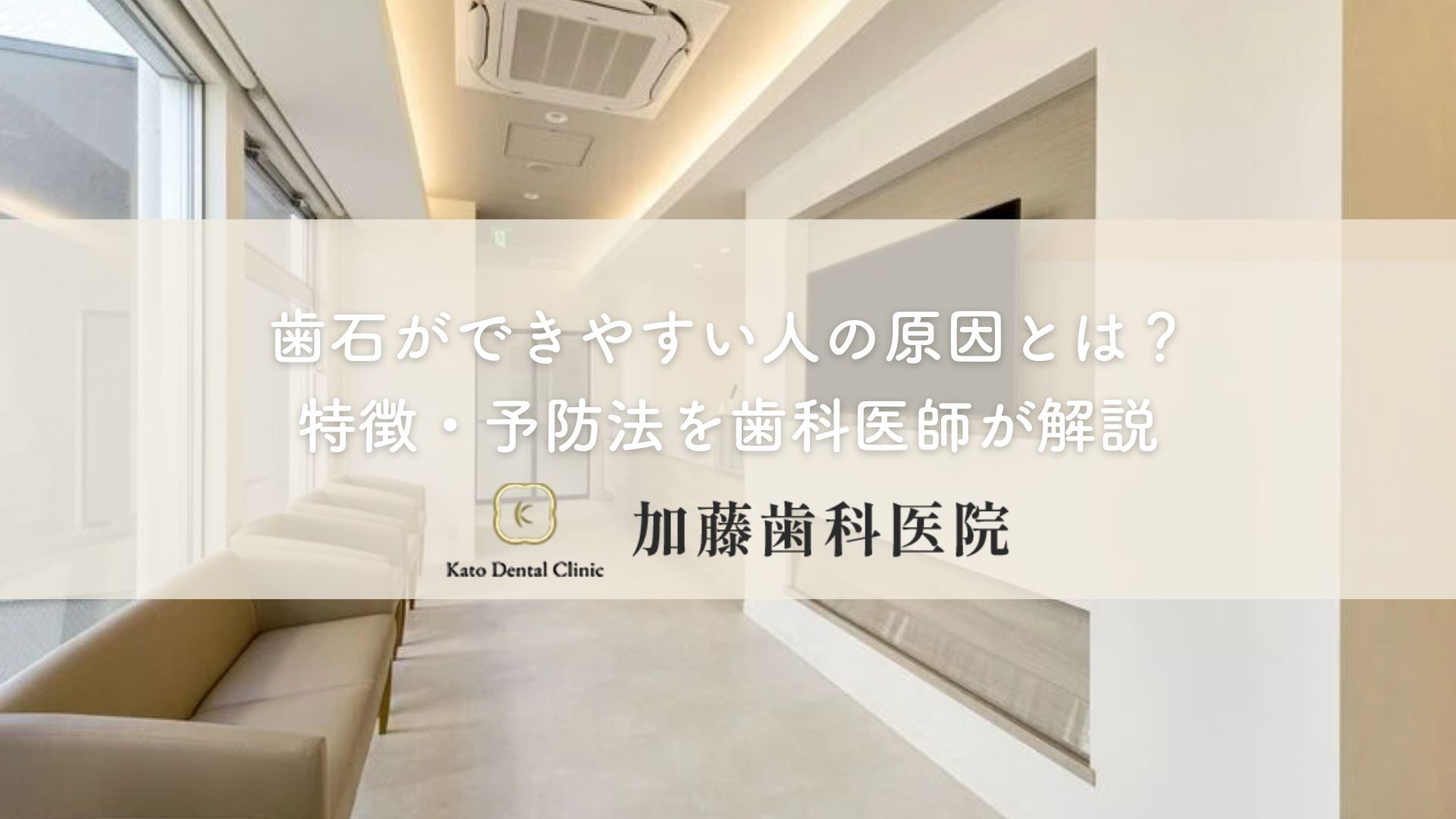 歯石ができやすい人の原因とは？特徴・予防法を歯科医師が解説｜各務原市 加藤歯科医院