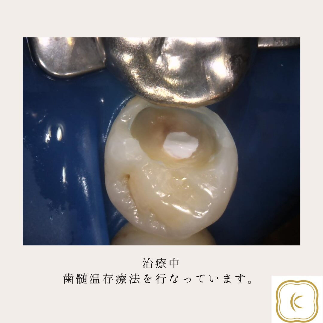 こんにちは